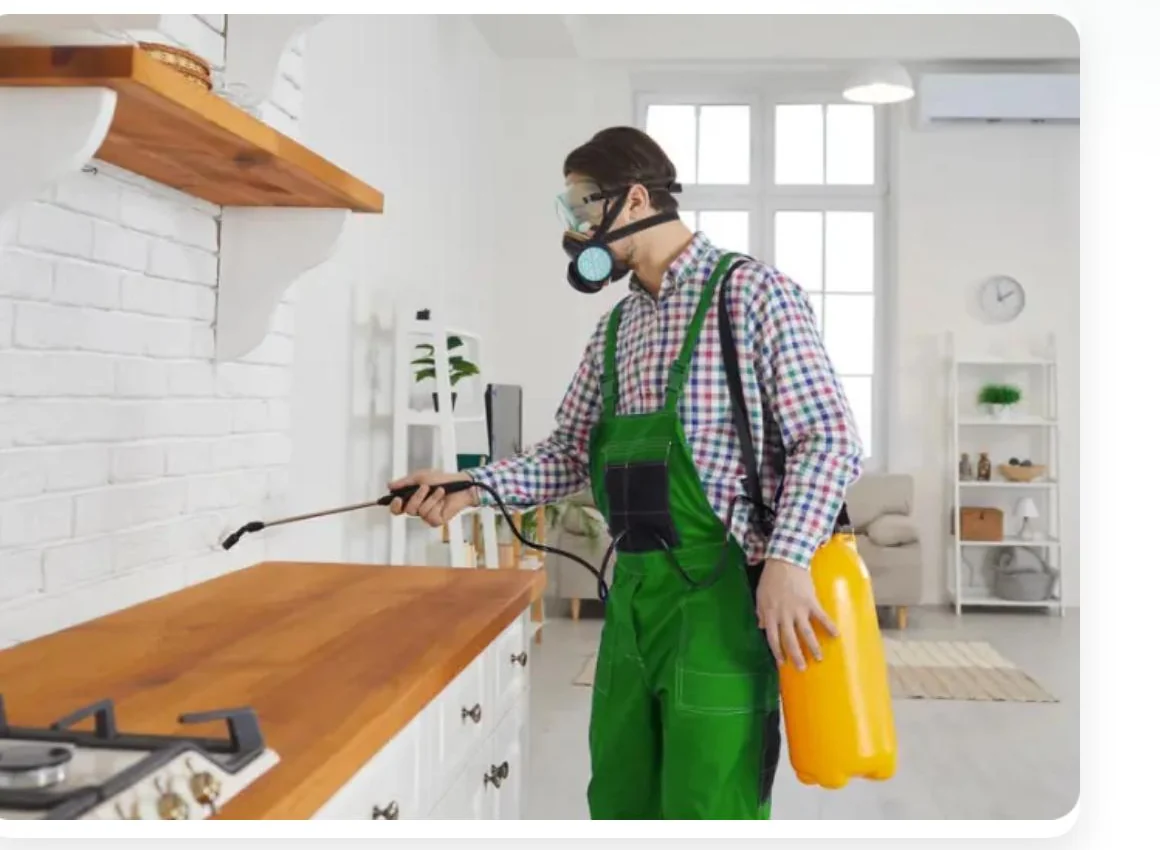 Técnico realizando servicio profesional de fumigación en interior